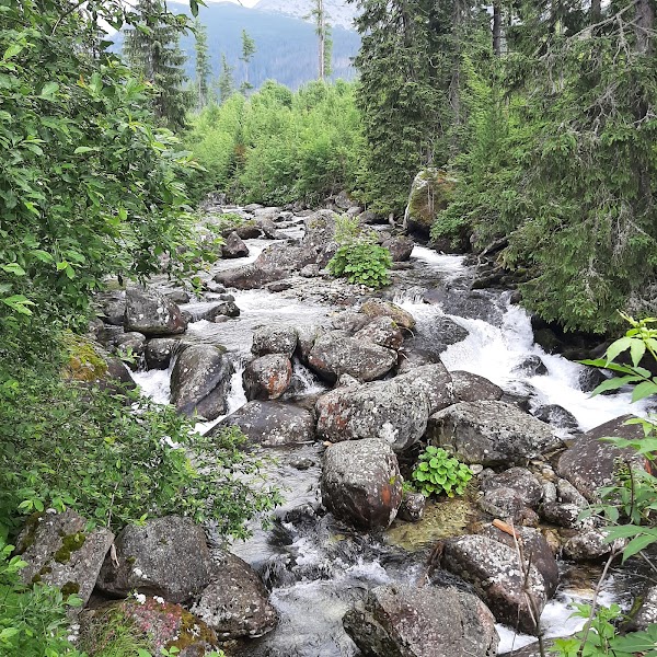 Štrbské Pleso → Popradské Pleso — foto 5