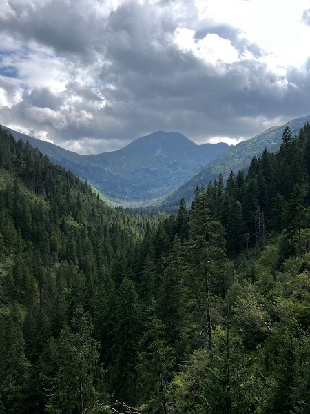Dolina Kościeliska — foto 2