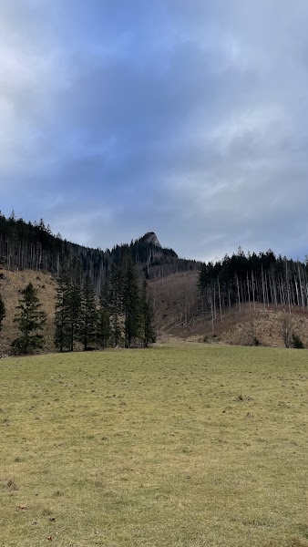 Dolina Kościeliska — foto 3