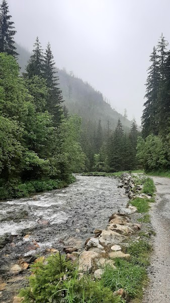 Dolina Kościeliska — foto 4